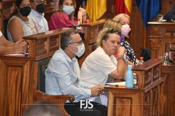 Pleno ordinario de julio de 2022/Francisco Javier Santana.